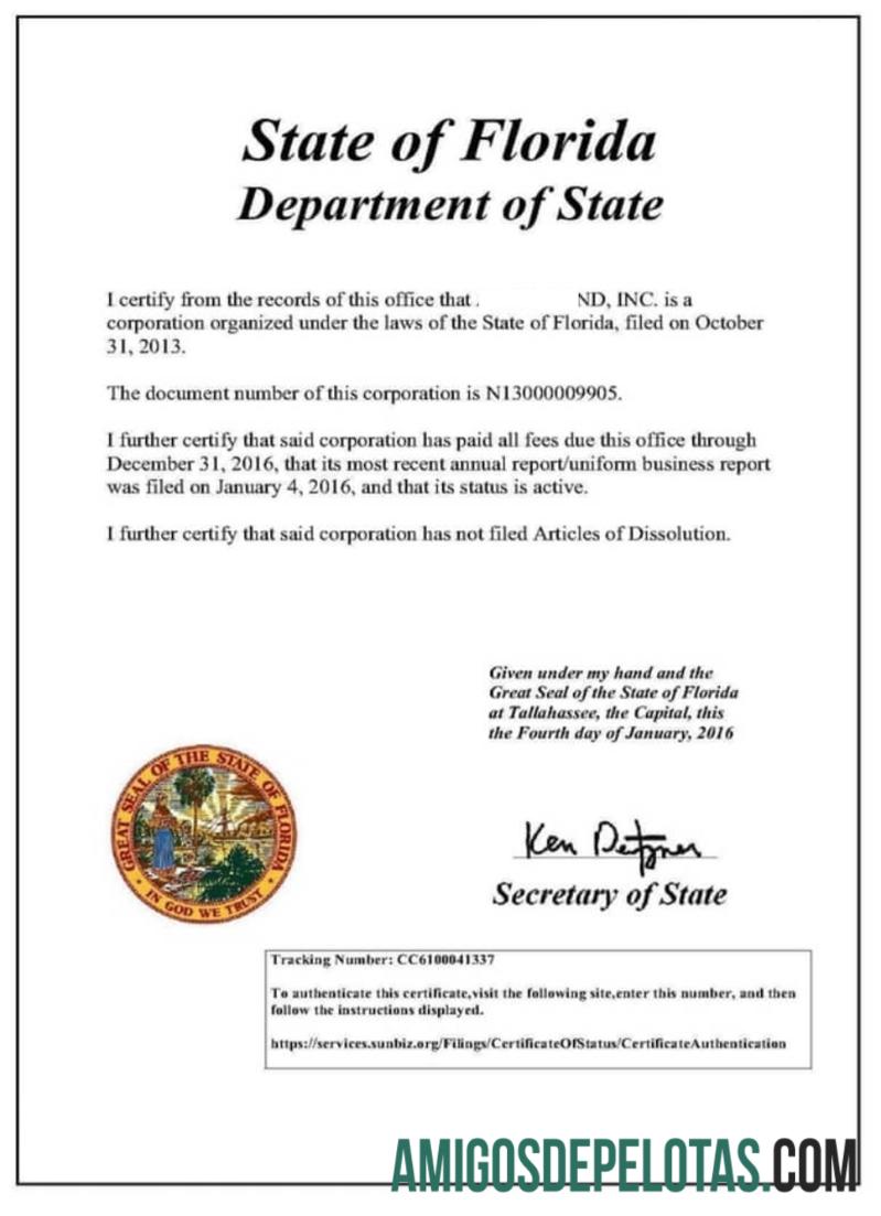 USA Florida Certificate Of Good Standing modelo